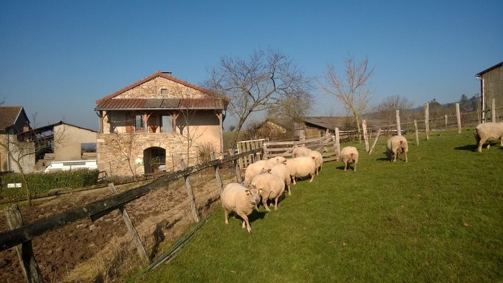 Ferme De La Corbette Panzió Cluny Kültér fotó